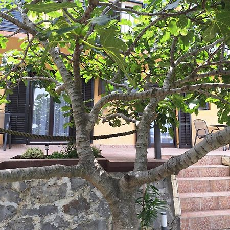 Apartamento Nautica Sveti Juraj Exterior foto